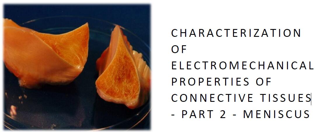 結(jié)締組織機電特性的表征.2部分：彎月面