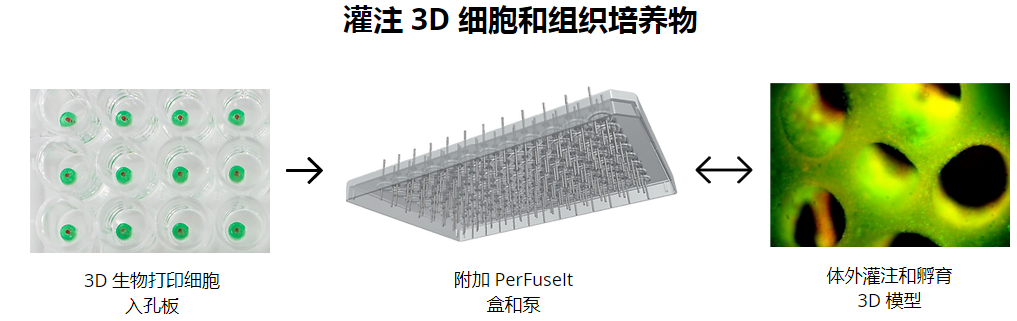 1671886010985041840.png QQ截圖20221224205039.png