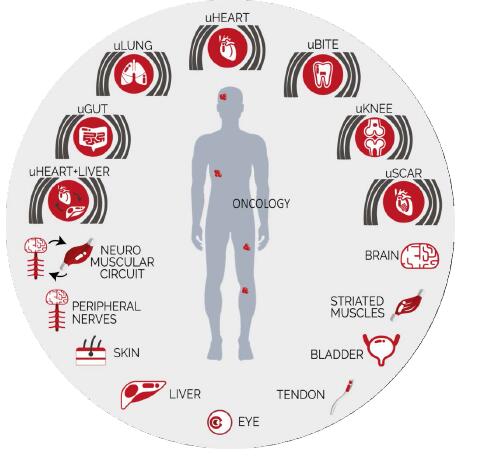 1672370189768075260.jpg QQ截圖20221230111945.jpg