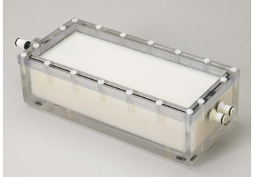 �i���}�ֲ������Ѫ����Ӱ