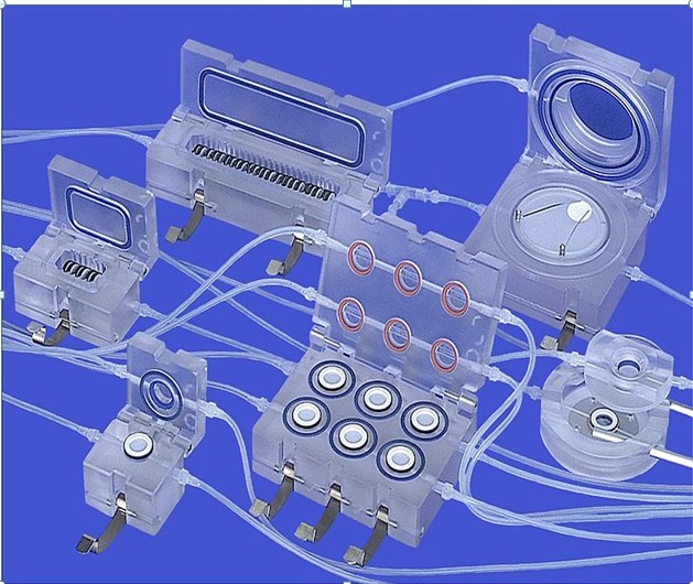 ����Quasi-vivo�����L��(�L�_(d��)4��)���w��ע���B(y��ng)����ϵ�y(t��ng)