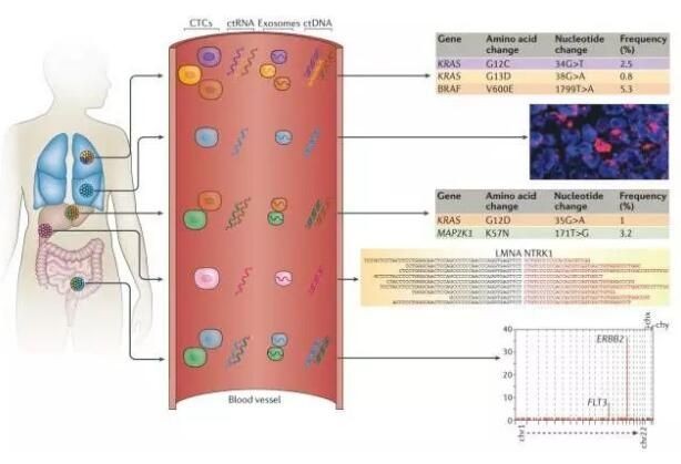 往屆部分參會名錄
