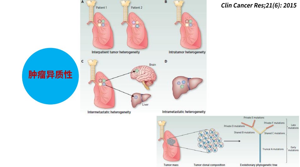 單細(xì)胞藥敏在腫瘤臨床治療中的應(yīng)用