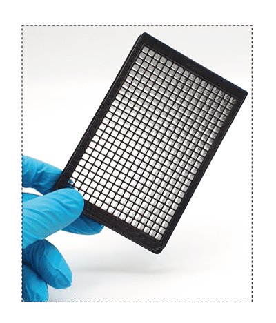 ΢�D�� 384 �װ�