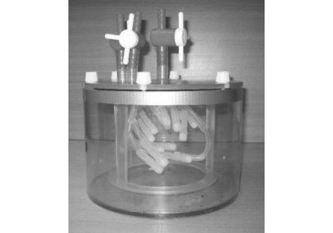 冠脈樹流動(dòng)幻影