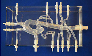 型號(hào)：TSN-009+