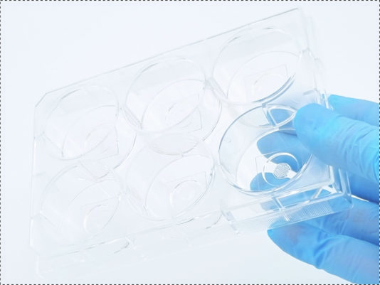 結(jié)構(gòu)化水凝膠，3d細(xì)胞球組裝培養(yǎng)板,環(huán)狀收縮力培養(yǎng)板，三維環(huán)狀組織收縮力培養(yǎng)板，